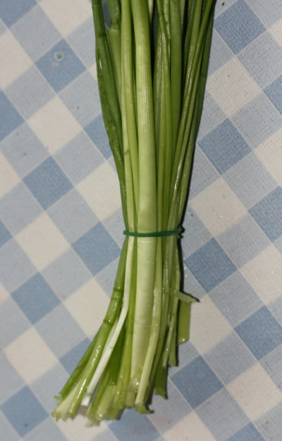 Chives (Allium schoenoprasum)